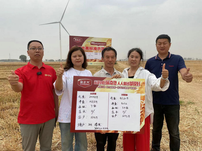 小麦亩均增产200斤的“金”方案“两拌三喷”技术助农增产增收(图3)