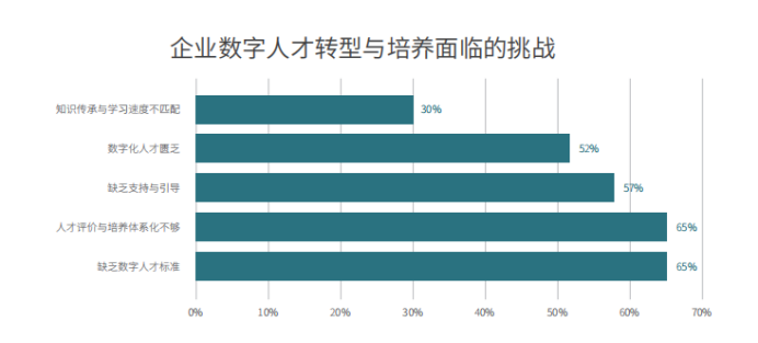 深度解读《2024数字人才白皮书》：透视数字人才困境与解决之道(图3)