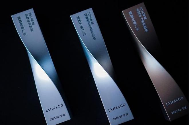 陕西龙泰领克中心斩获九项大奖2025大会成最耀眼明星！(图3)