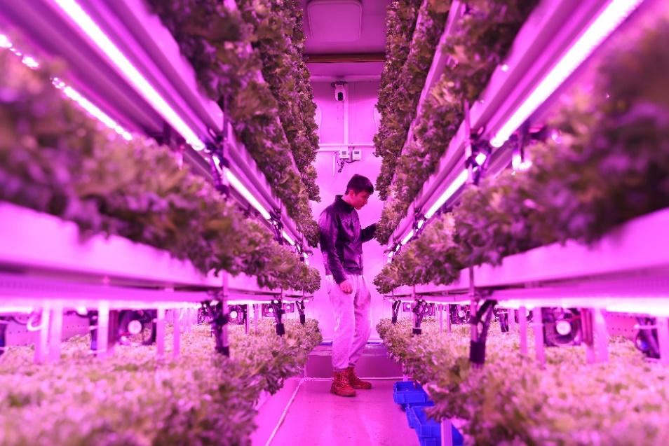 拼多多发布2024四季度及全年财报陈磊：坚持高质量发展战略不动摇(图2)