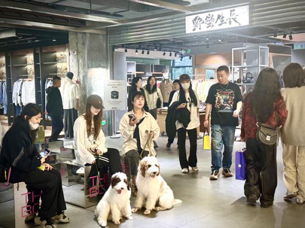 不按套路出牌撬动商业新模式(图2)