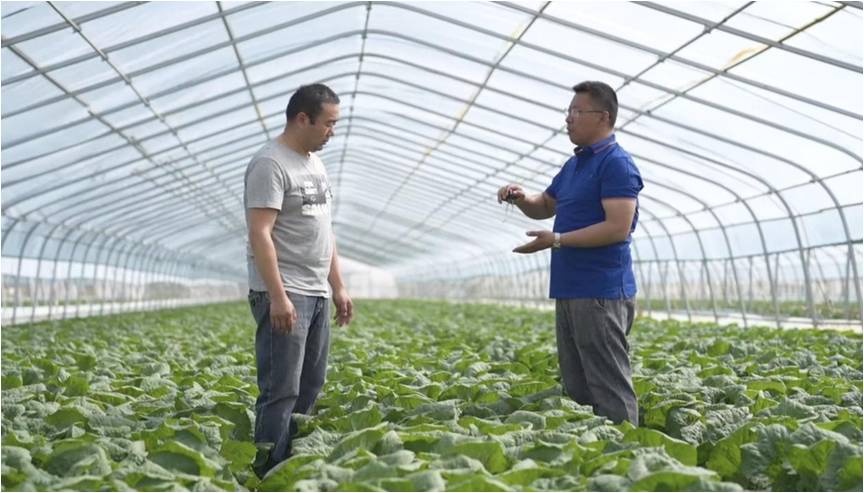 中国品牌日|新洋丰将品牌价值种进土地(图3)