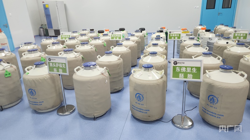 智汇草原·筑梦北疆丨写在四子王旗大地的“帮扶答卷”(图3)