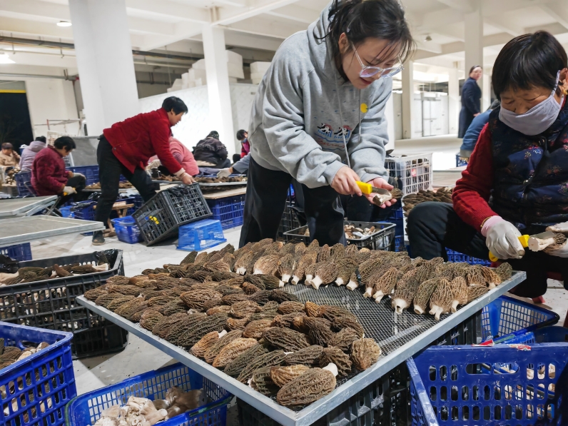 中安观察|围绕高校毕业生就业创业看安徽财政如何打出支撑“组合拳”?(图1)