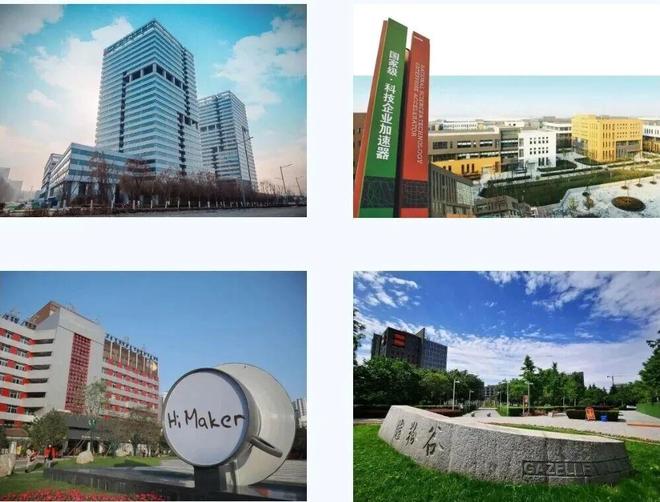 打造一片海创人才“热带雨林”(图4)