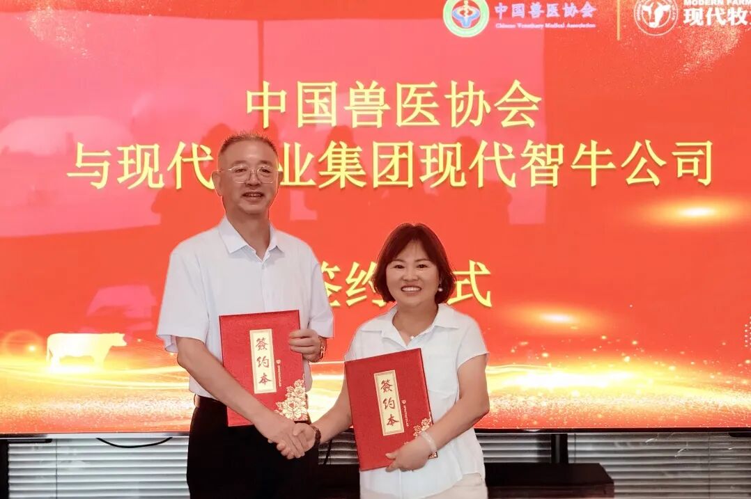 现代智牛携手中国兽医协会共同启动牛兽医人才培养计划共建牛人才摇篮(图4)
