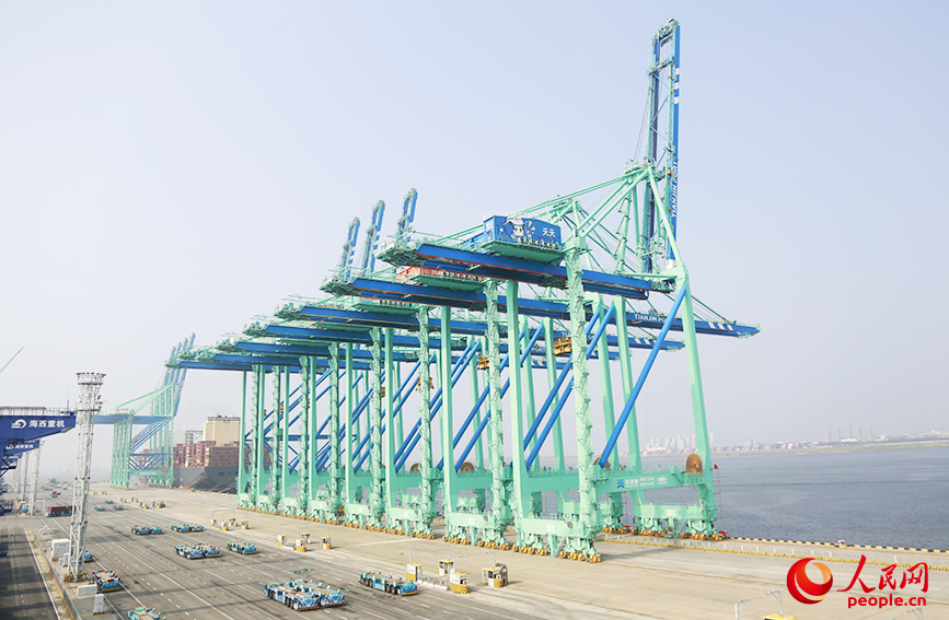 必威咨询:一只“数字和平鸽”牵出的合作新篇(图2)