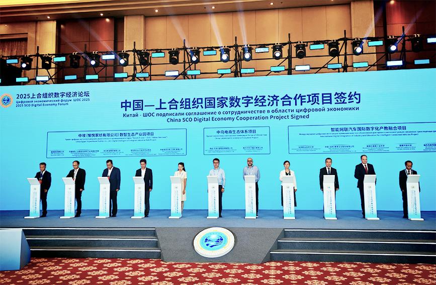 必威咨询:一只“数字和平鸽”牵出的合作新篇(图3)