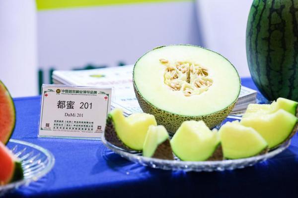 必威网站：第三十二届中国北京种业大会农作物种苗及产业发展论坛在大兴盛大开幕(图3)