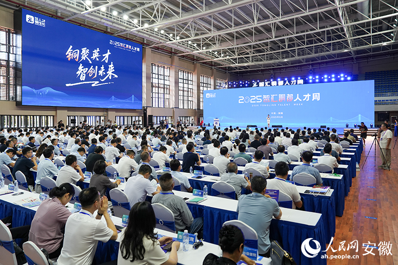 2025“智汇铜都”人才周暨百名博士铜陵行启动(图2)