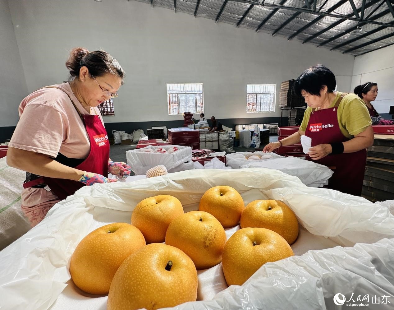 行进中国｜梨乡“金果”链出甜蜜产业(图3)