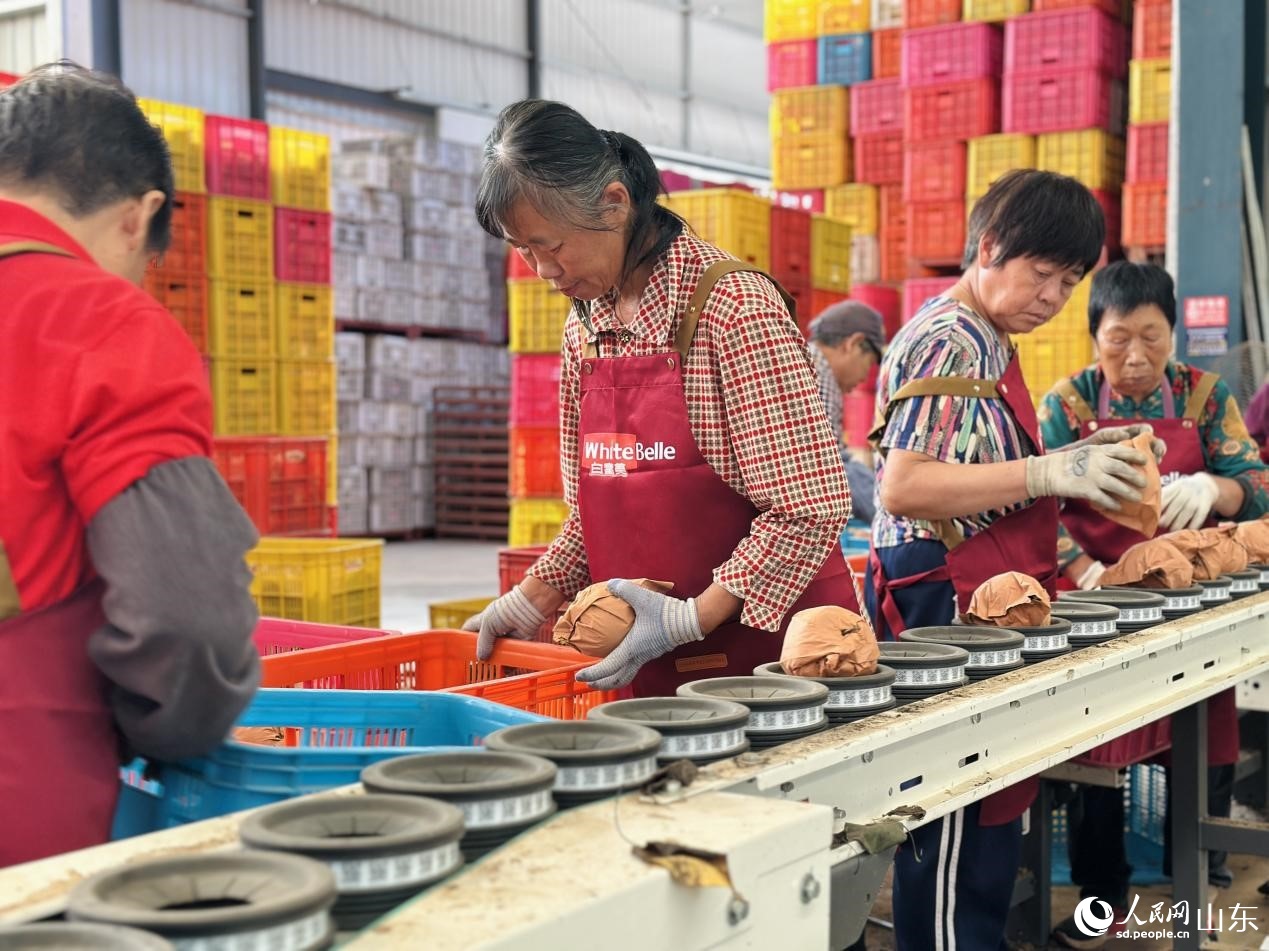 行进中国｜梨乡“金果”链出甜蜜产业(图2)