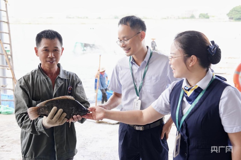 邮储银行:金融“活水”润鱼跃茂名罗非鱼产业焕新机(图3)