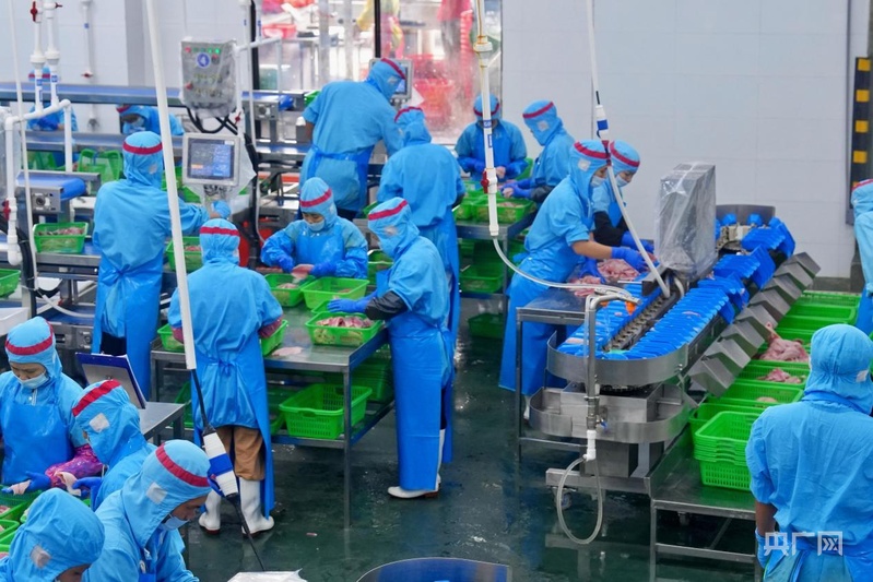 邮储银行:金融“活水”润鱼跃茂名罗非鱼产业焕新机(图2)