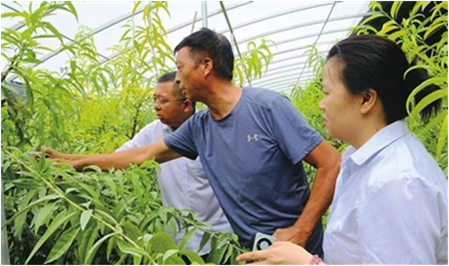 必威咨询：工商银行河南省分行：做实做细“五篇大文章”精准服务河南经济高质量发展(图1)