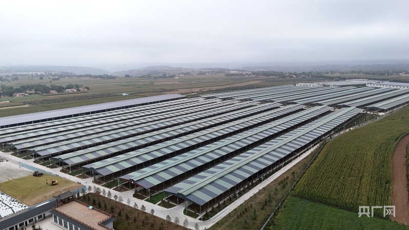 必威咨询：【平凉：举城竞进何以为之？②】现代精品农业何以为进？(图1)