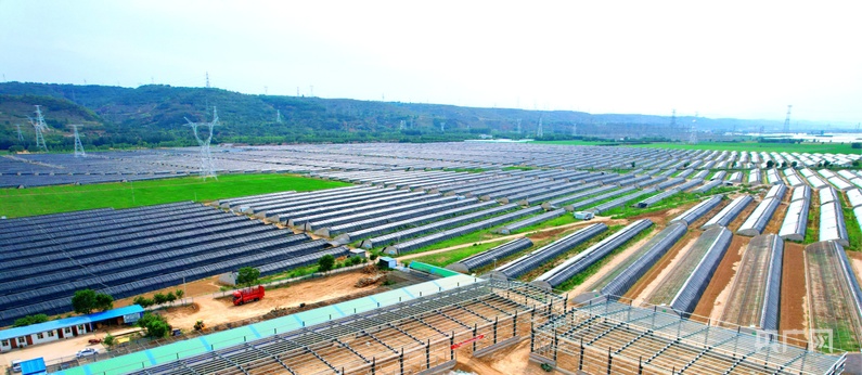 必威咨询：【平凉：举城竞进何以为之？②】现代精品农业何以为进？(图4)