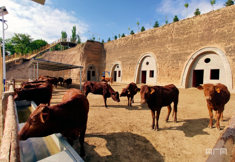 必威咨询：【平凉：举城竞进何以为之？②】现代精品农业何以为进？(图2)