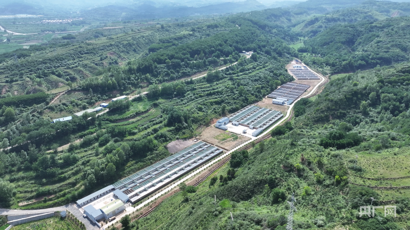 必威咨询：【平凉：举城竞进何以为之？②】现代精品农业何以为进？(图7)