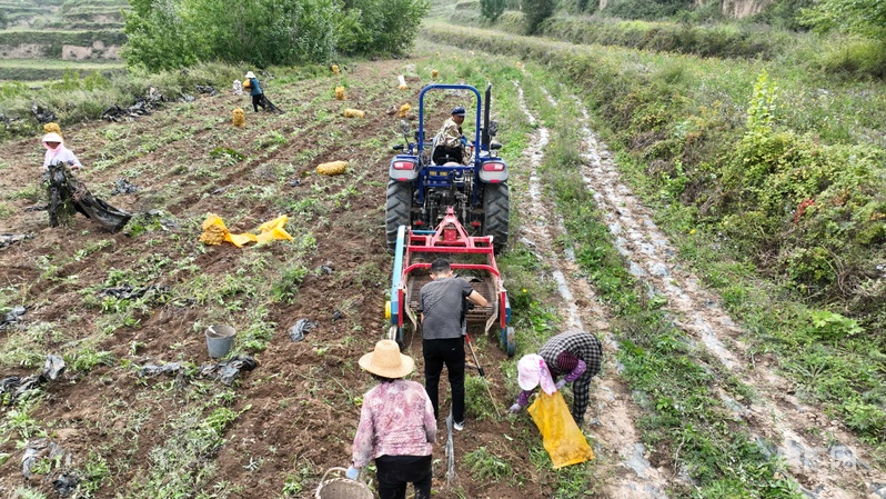 必威咨询：【平凉：举城竞进何以为之？②】现代精品农业何以为进？(图8)