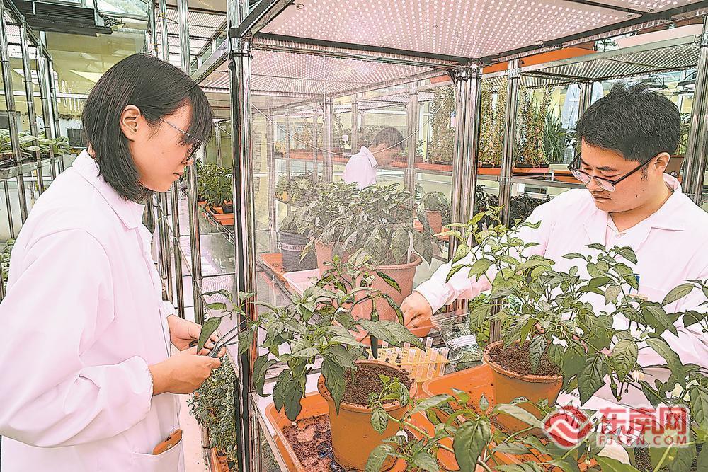 必威网站:深读工学融合造就高技能人才(图2)