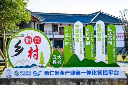 从花江峡谷大桥出发：探访“多彩贵州移起向新”(图14)