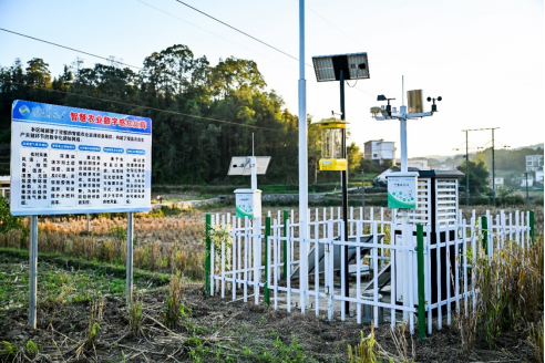 从花江峡谷大桥出发：探访“多彩贵州移起向新”(图17)