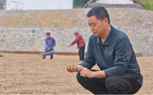 从花江峡谷大桥出发：探访“多彩贵州移起向新”(图20)