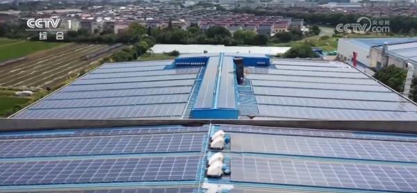 必威网站:“新”字突出!各地不断打造人才培养新生态激发高质量发展新动能(图2)