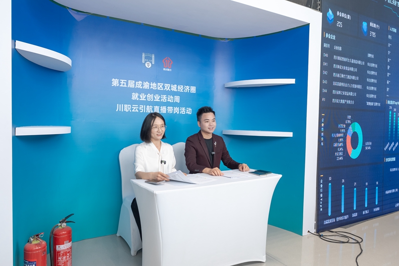 必威网站：四川人力资源服务业激活发展新动能(图4)