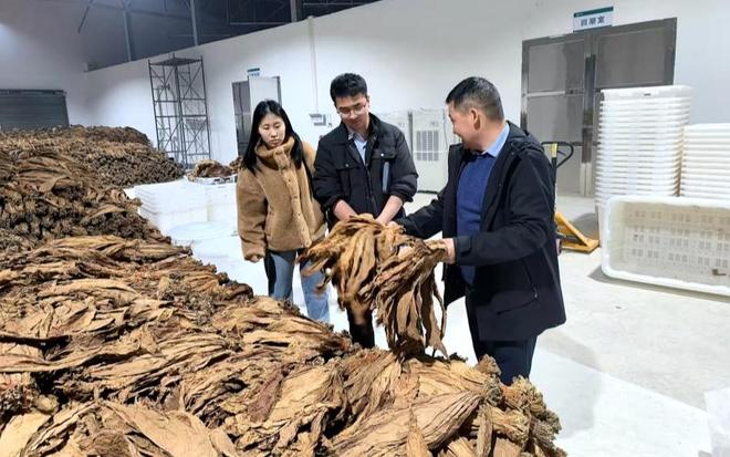 必威网站:厚植人才沃土激活发展动能(图2)