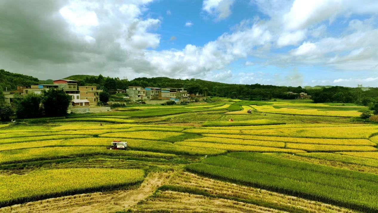 文化铸魂品牌赋能：国海证券“十四五”文化品牌建设全景回顾(图10)