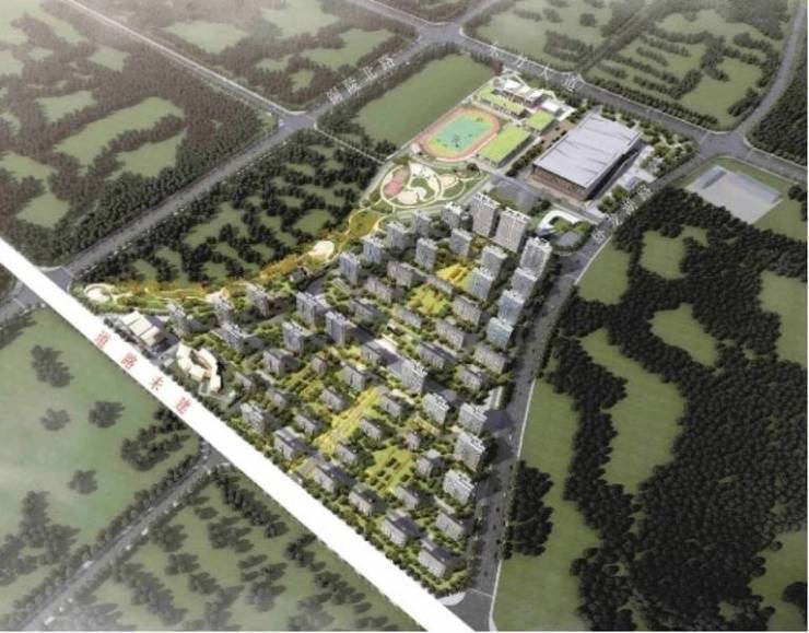 合肥新站区楼盘-合肥新盘必买楼盘发布:售楼处电线小时电线最新房价评测(图5)