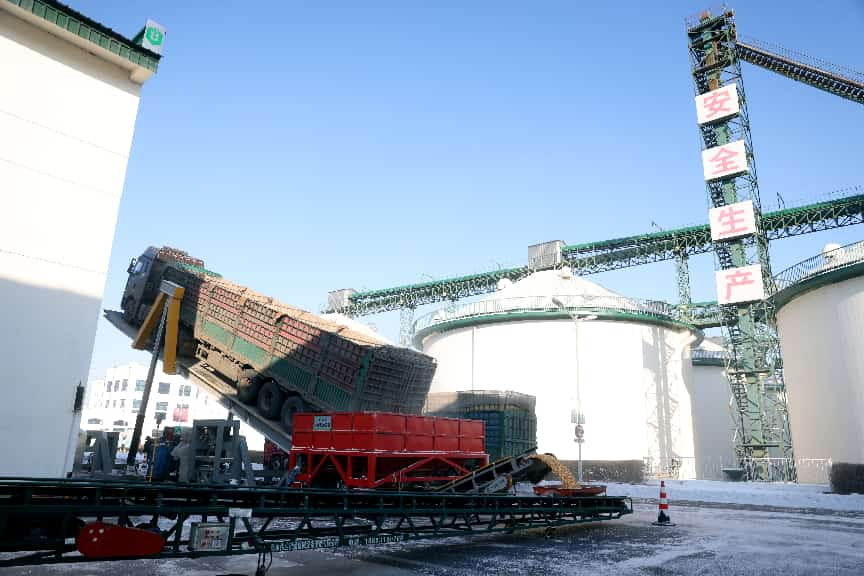 必威咨询：粮安天下储稳民心——中储粮推进粮食收购高质量发展的实践密码(图2)