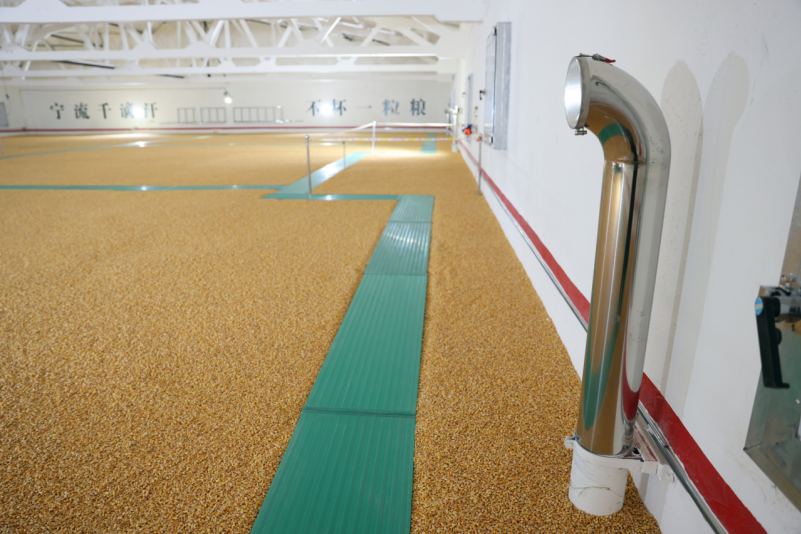 必威咨询：粮安天下储稳民心——中储粮推进粮食收购高质量发展的实践密码(图4)