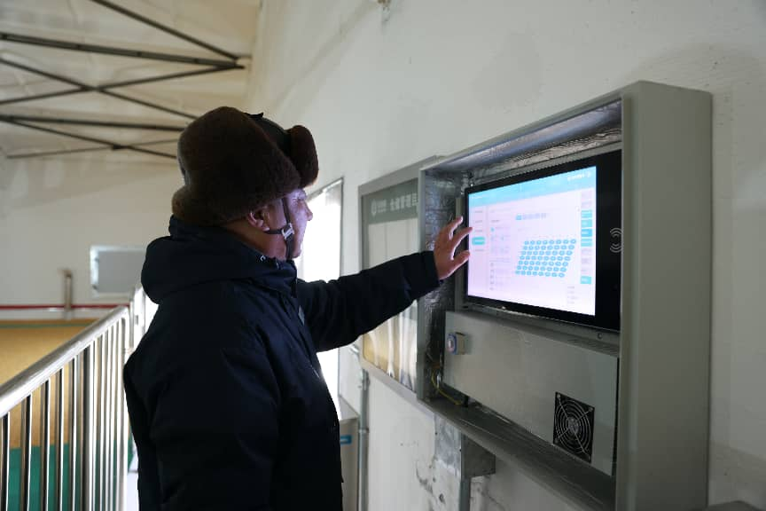 必威咨询：粮安天下储稳民心——中储粮推进粮食收购高质量发展的实践密码(图8)