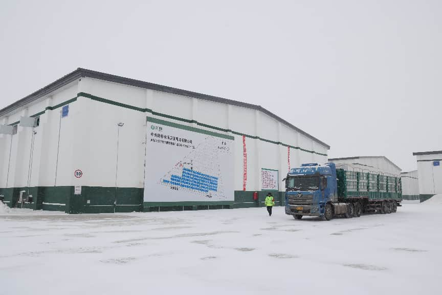 必威咨询：粮安天下储稳民心——中储粮推进粮食收购高质量发展的实践密码(图7)