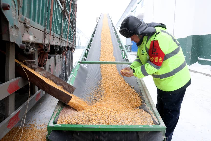 必威咨询：粮安天下储稳民心——中储粮推进粮食收购高质量发展的实践密码(图3)