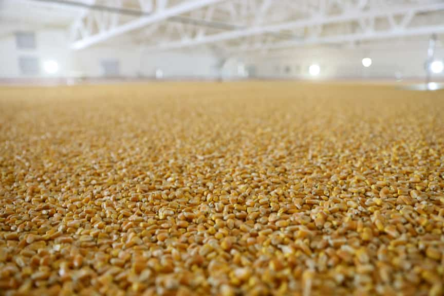 必威咨询：粮安天下储稳民心——中储粮推进粮食收购高质量发展的实践密码(图11)