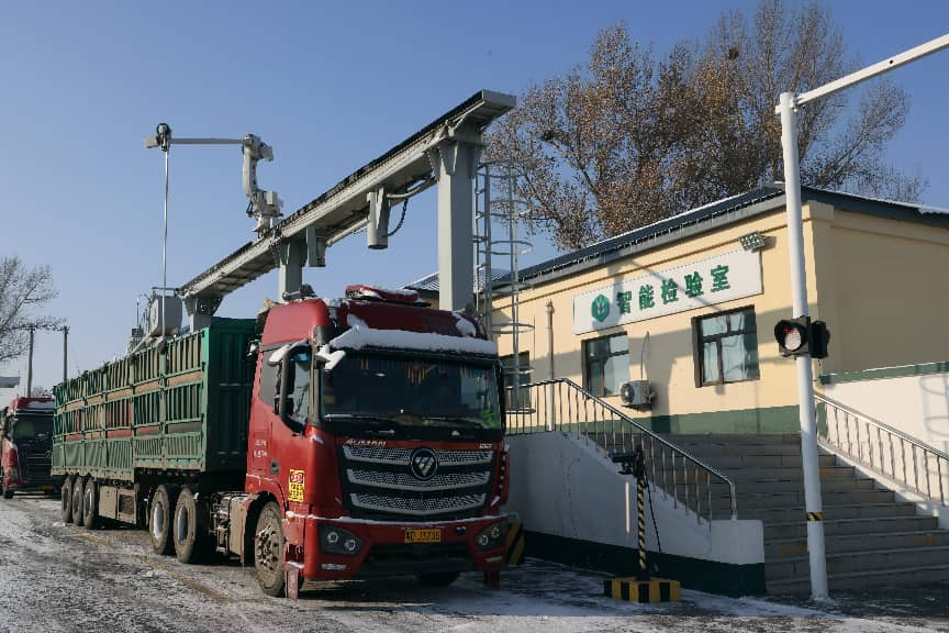 必威咨询：粮安天下储稳民心——中储粮推进粮食收购高质量发展的实践密码(图9)