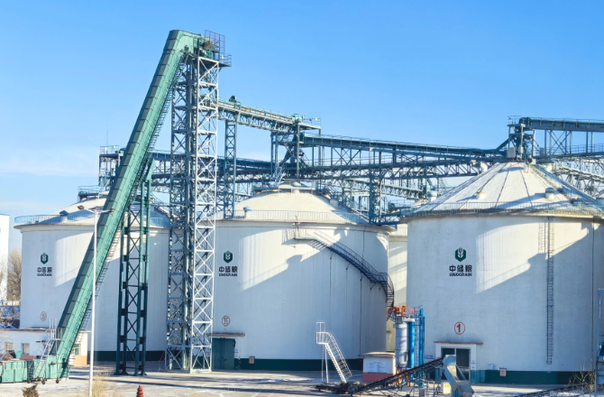 必威咨询：粮安天下储稳民心——中储粮推进粮食收购高质量发展的实践密码(图12)