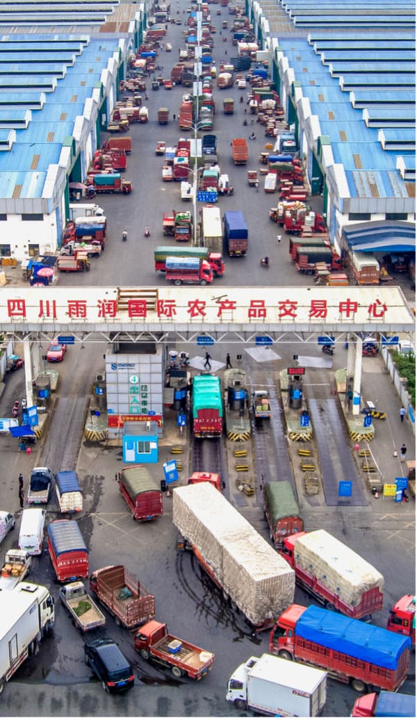 筑牢“产运销管”闭环成都“小菜篮”托稳大民生(图3)