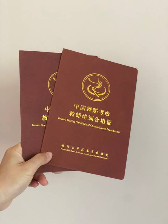 单色舞蹈与中国舞蹈家协会深化战略合作共筑行业人才培养新生态(图2)