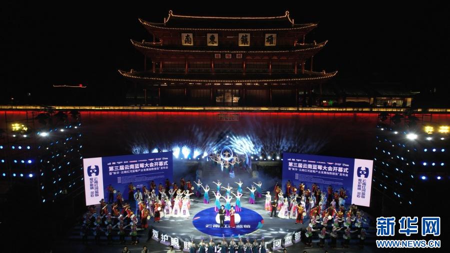 必威首页：云南蓝莓实力出圈高原“蓝”海里的共富密码(图4)