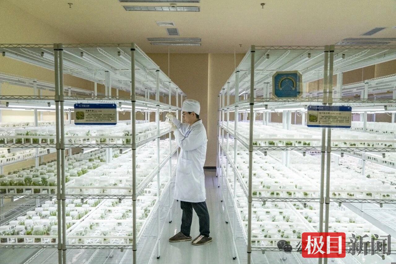 近悦远来宜昌构建汇聚人才的“强力磁场”(图2)