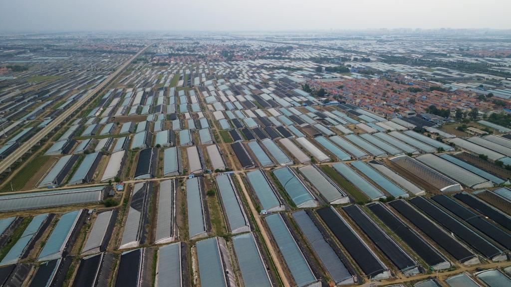 经济大省调研行丨在这里钢厂开始造卫星一粒种子能撬动一个产业链……(图5)