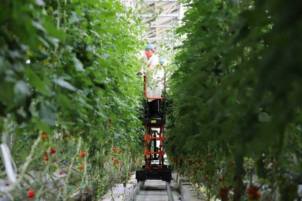 经济大省调研行丨在这里钢厂开始造卫星一粒种子能撬动一个产业链……(图6)