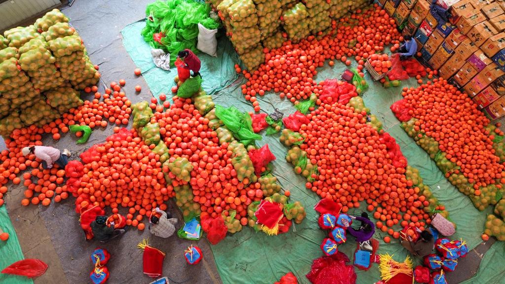 经济大省调研行丨在这里钢厂开始造卫星一粒种子能撬动一个产业链……(图4)