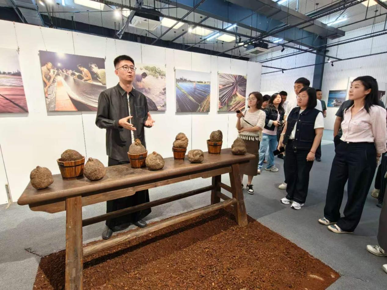 护航“小巨人”守护“软黄金”佛山检察交出有温度的“知产”答卷(图4)